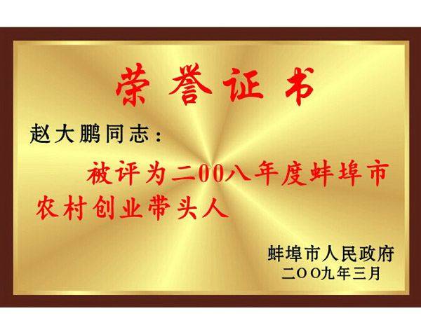 赵大鹏同志被评为2008年度蚌埠市农村创业带头人