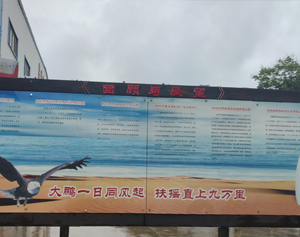厂区环境